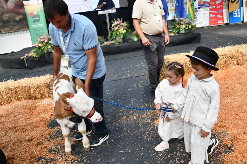 Bambino Kup 8972 (41)