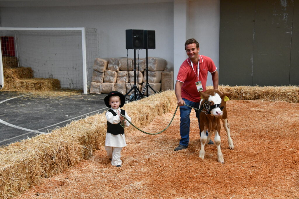 Bambino Kup 8972 (44)