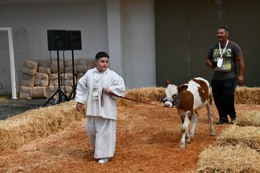 Bambino Kup 8972 (49)