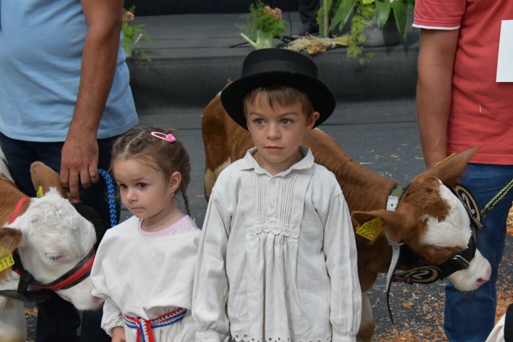 Bambino Kup 8972 (51)