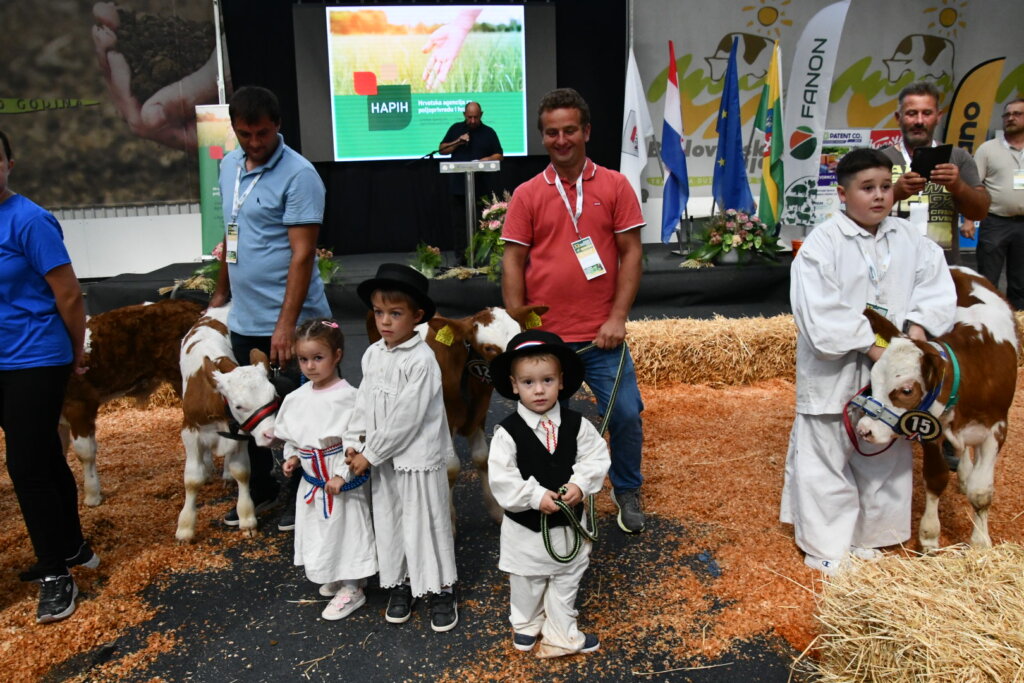 Bambino Kup 8972 (52)