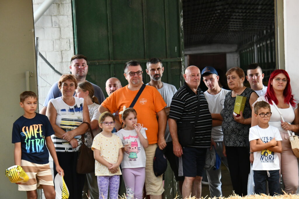 Bambino Kup 8972 (54)