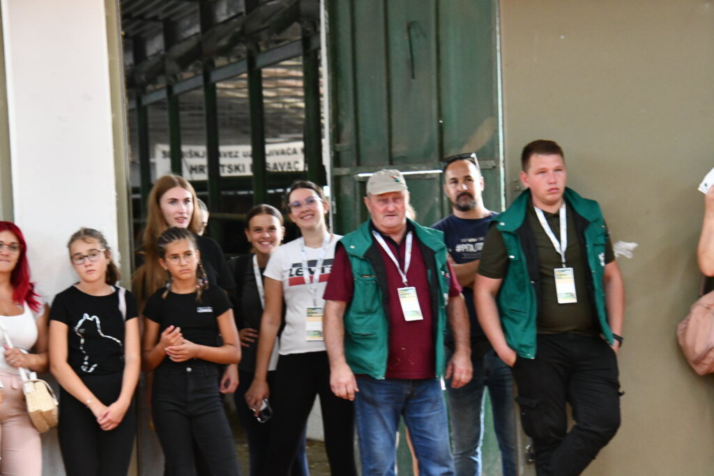 Bambino Kup 8972 (55)