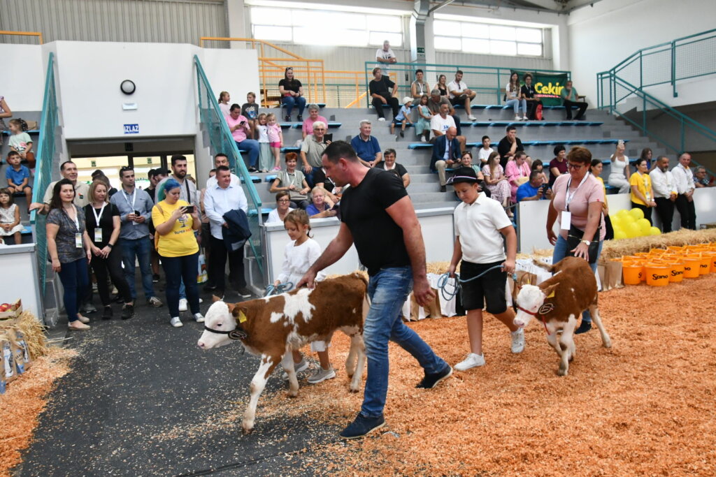 Bambino Kup 8972 (56)