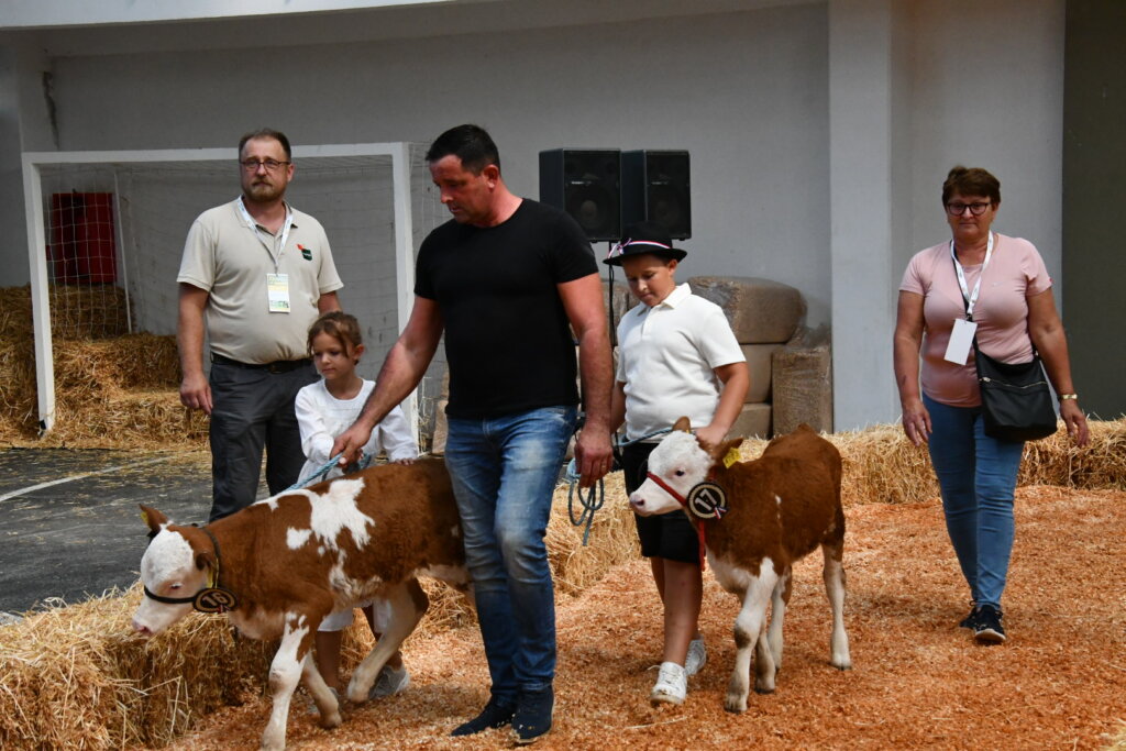 Bambino Kup 8972 (60)