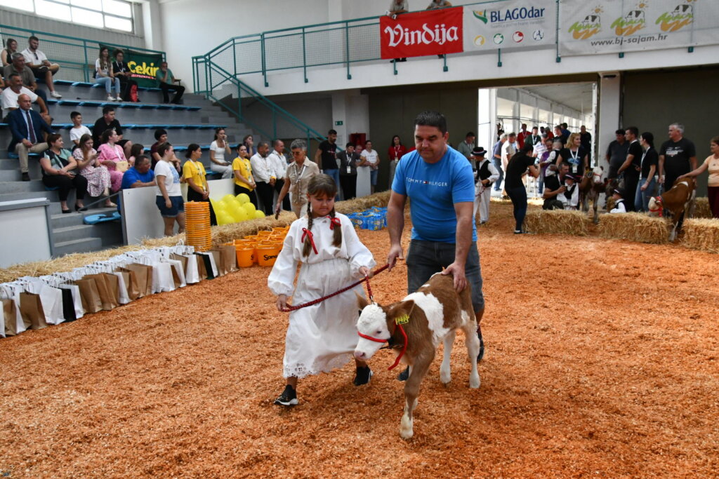 Bambino Kup 8972 (61)