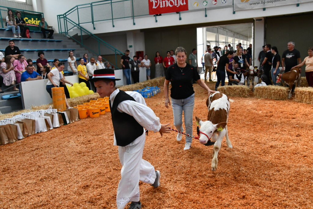 Bambino Kup 8972 (63)