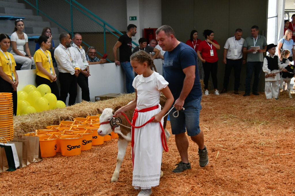 Bambino Kup 8972 (69)