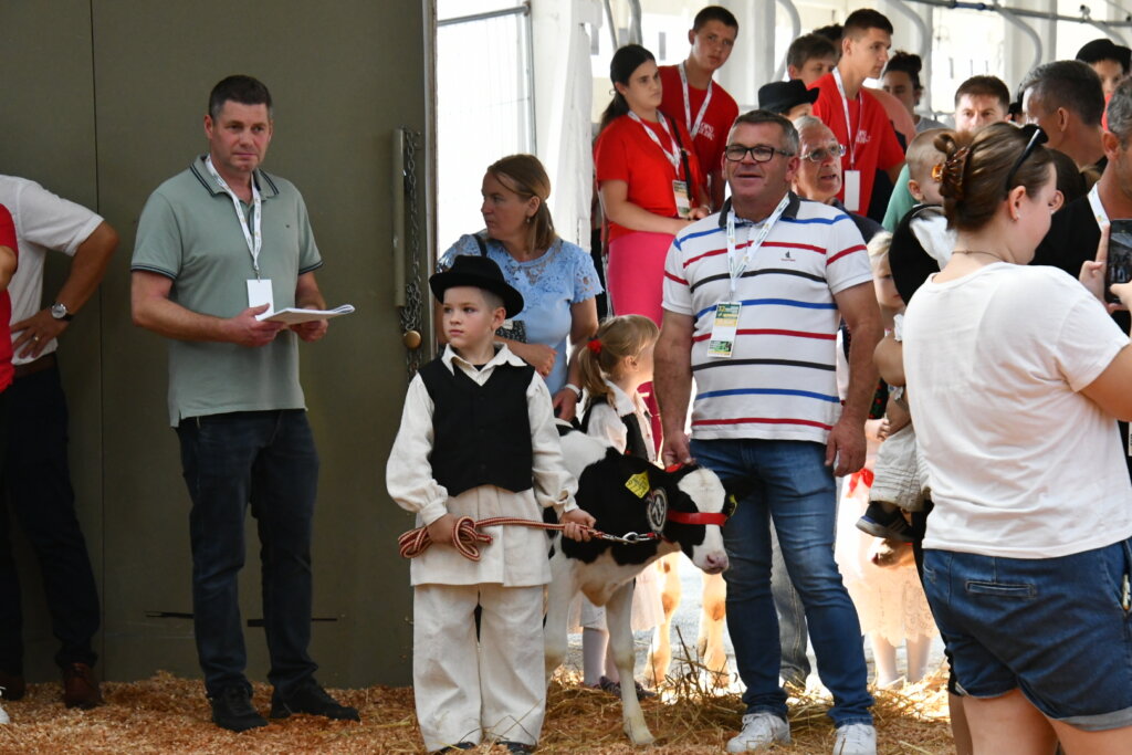 Bambino Kup 8972 (70)