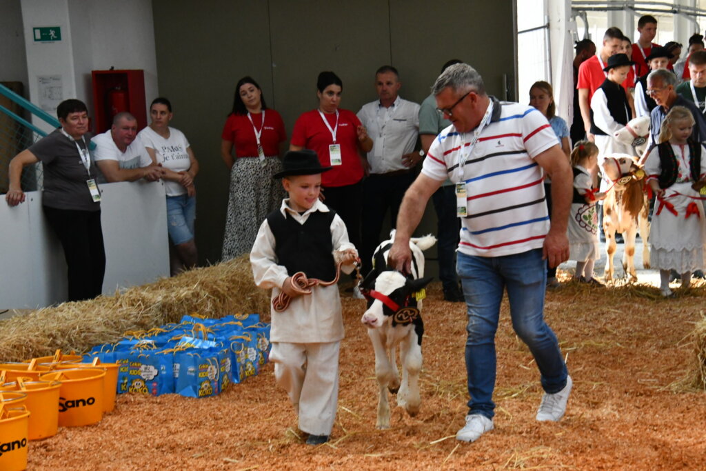 Bambino Kup 8972 (71)