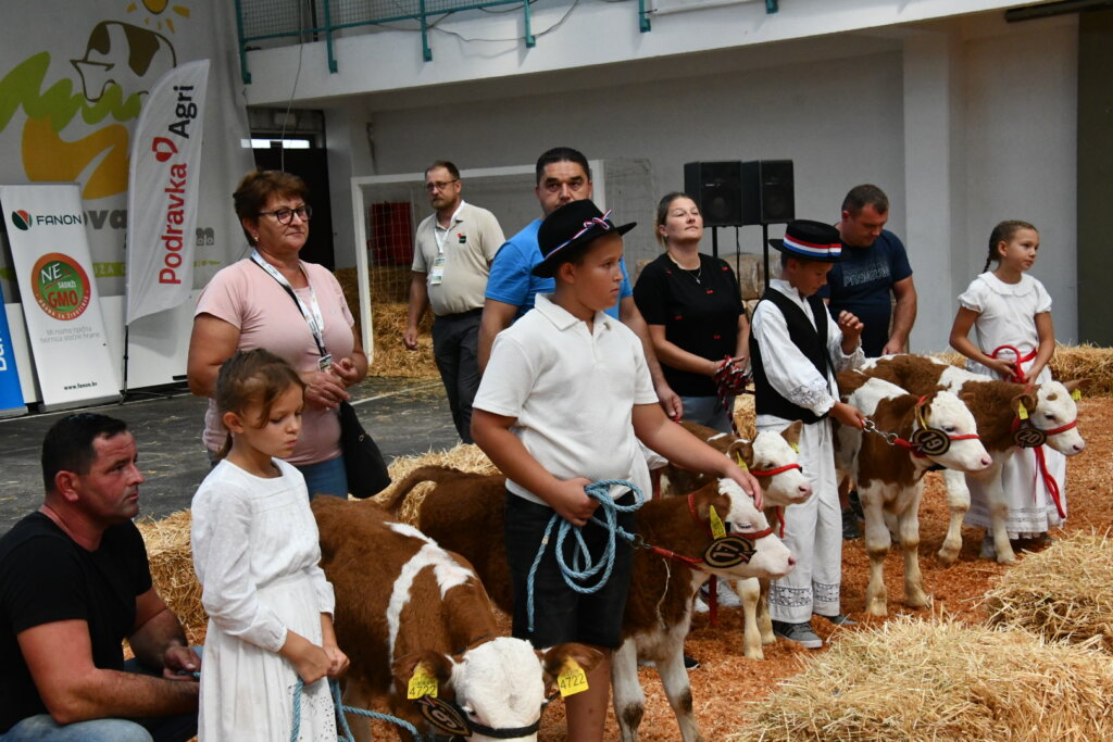 Bambino Kup 8972 (74)