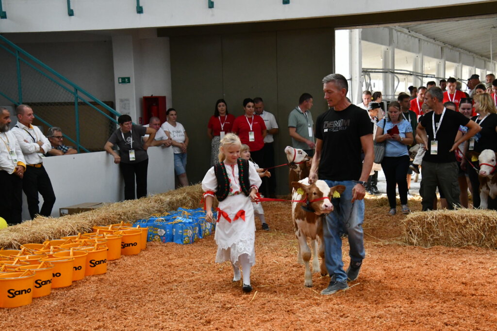 Bambino Kup 8972 (76)