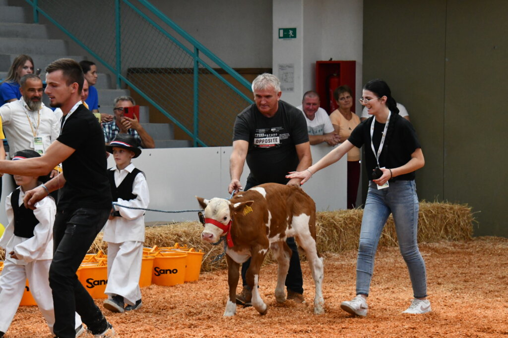 Bambino Kup 8972 (8)