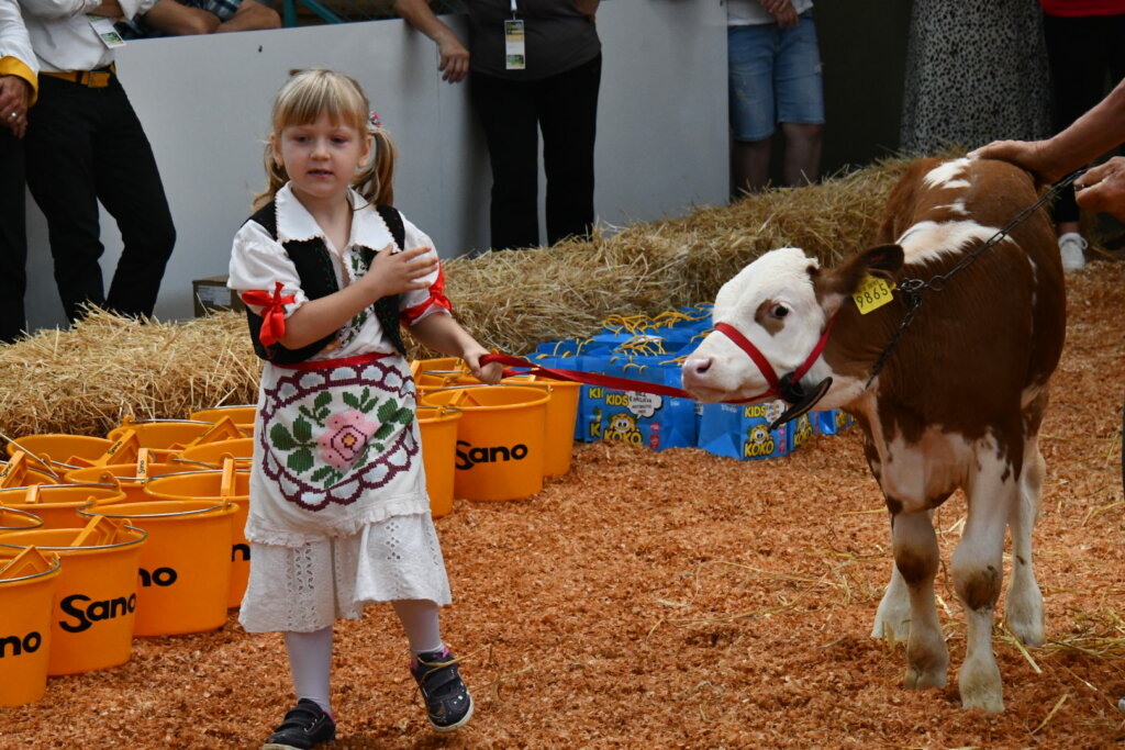 Bambino Kup 8972 (80)