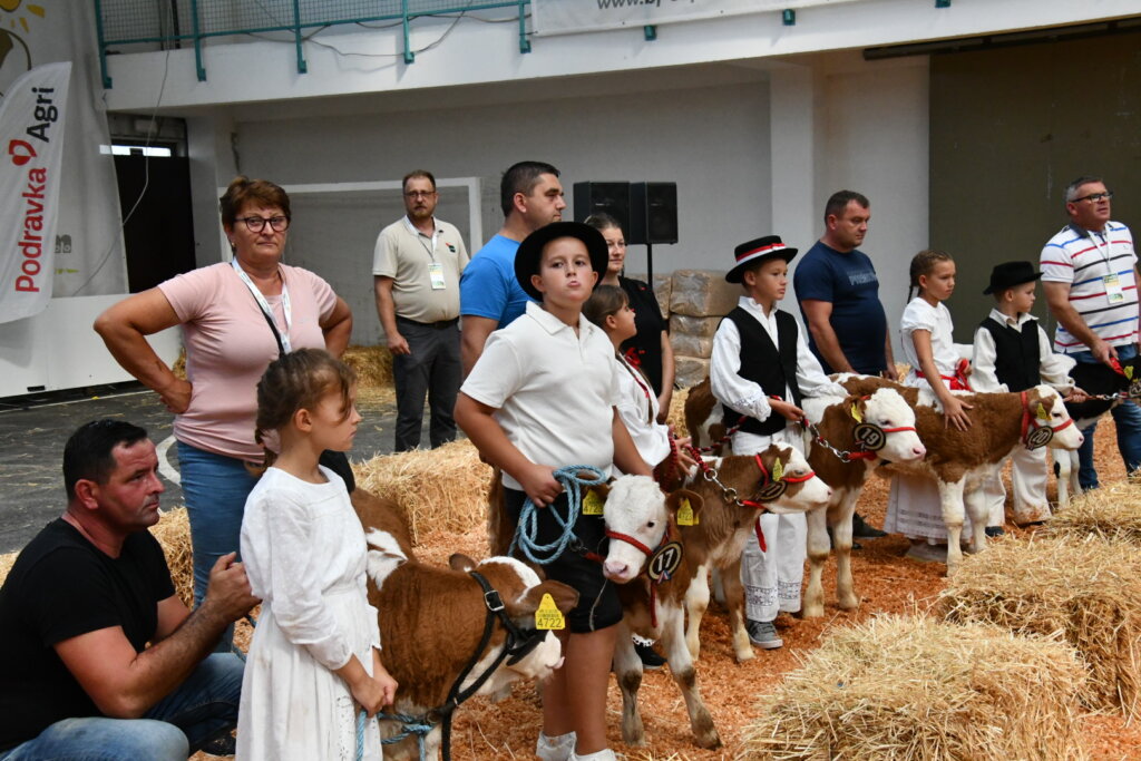 Bambino Kup 8972 (81)