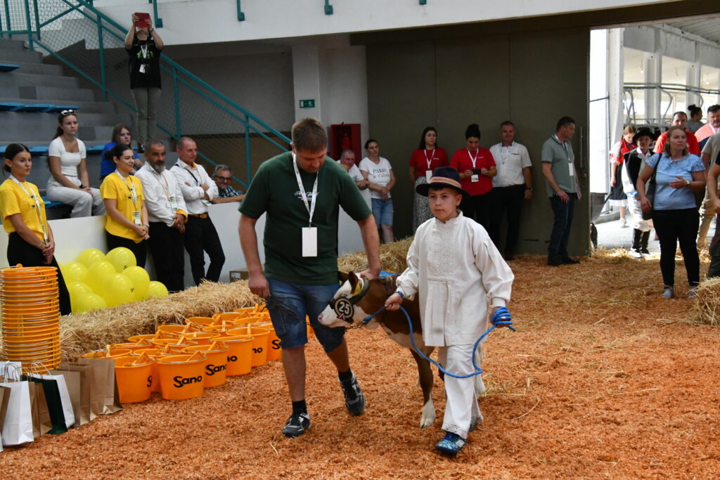 Bambino Kup 8972 (82)