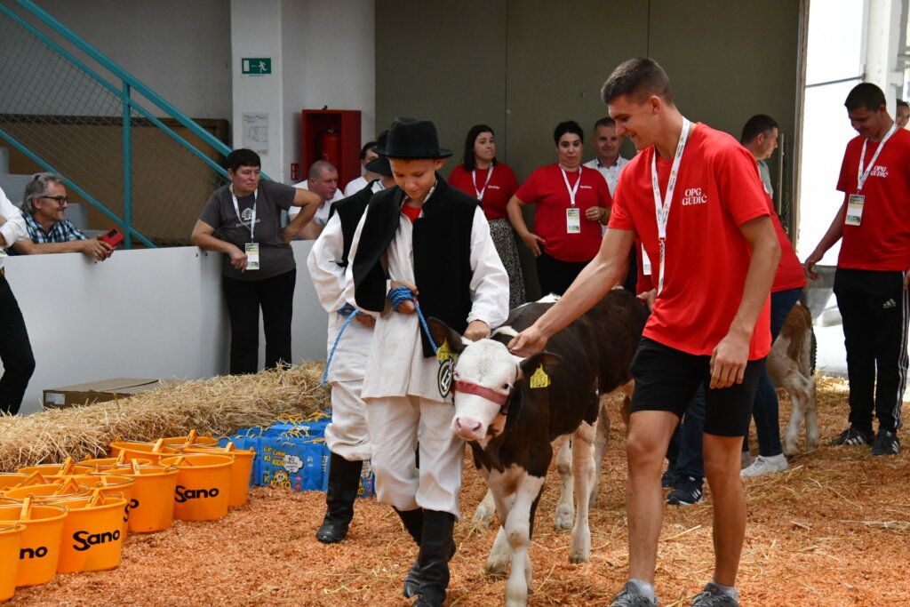 Bambino Kup 8972 (84)