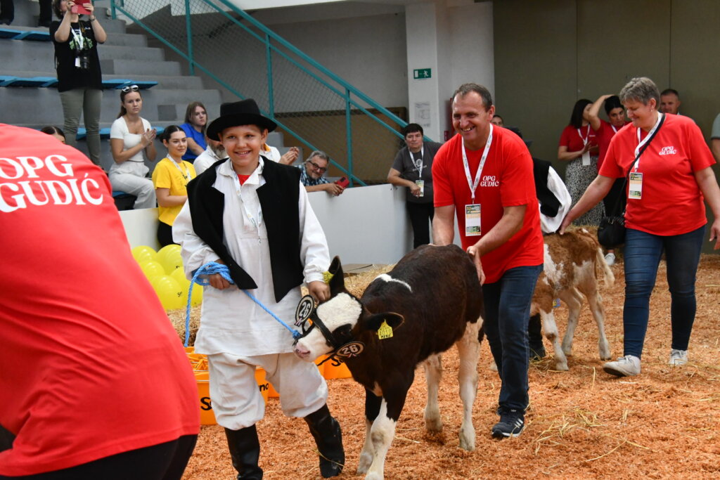 Bambino Kup 8972 (86)