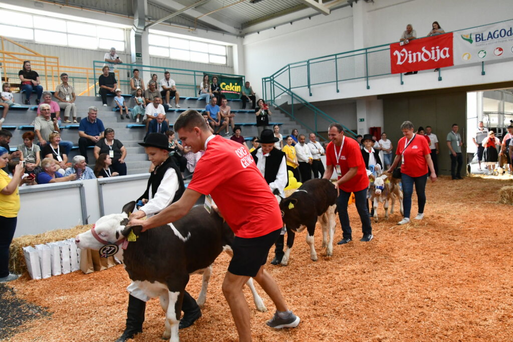 Bambino Kup 8972 (87)