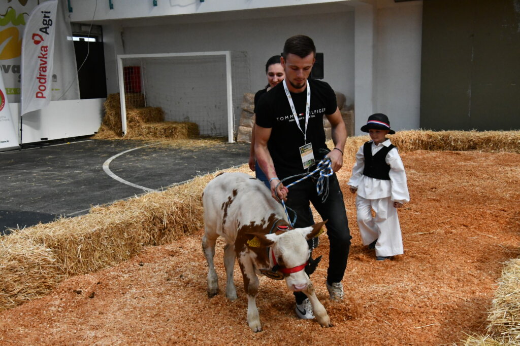 Bambino Kup 8972 (9)