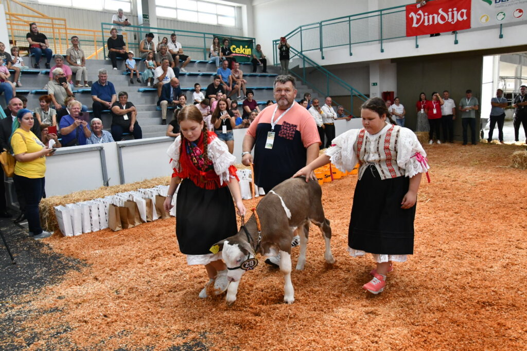 Bambino Kup 8972 (92)