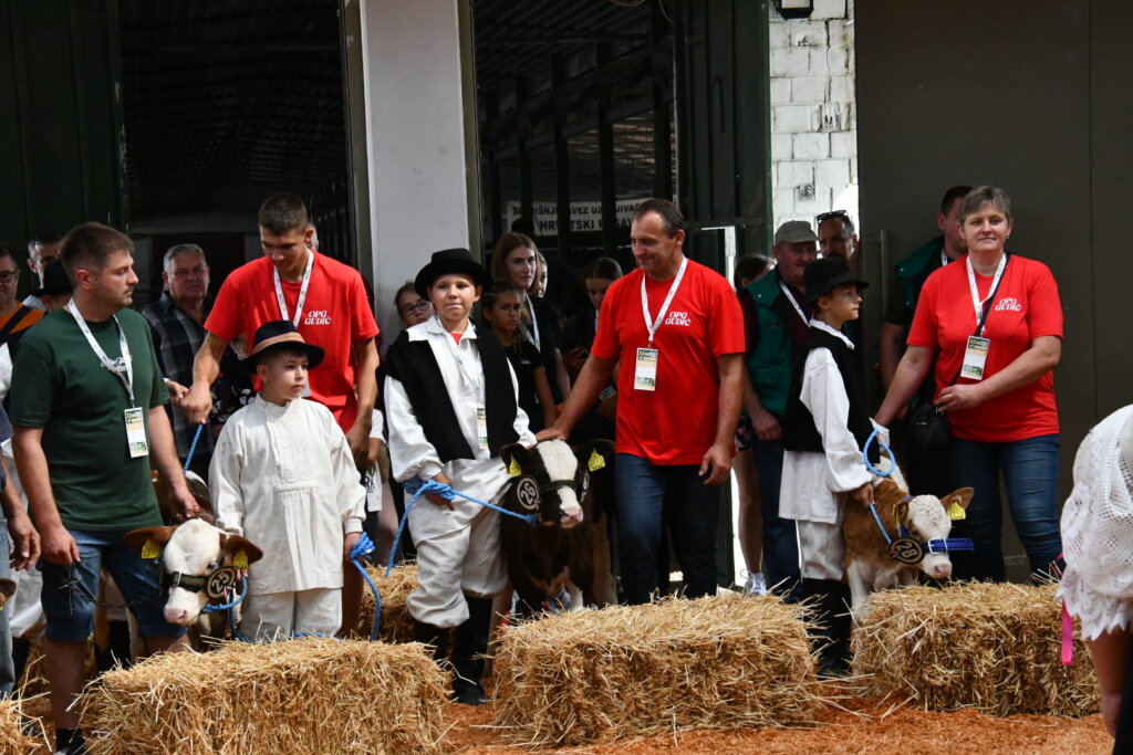 Bambino Kup 8972 (95)