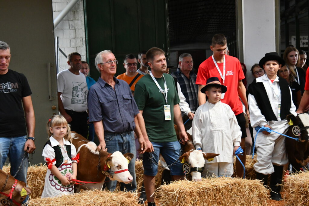 Bambino Kup 8972 (96)