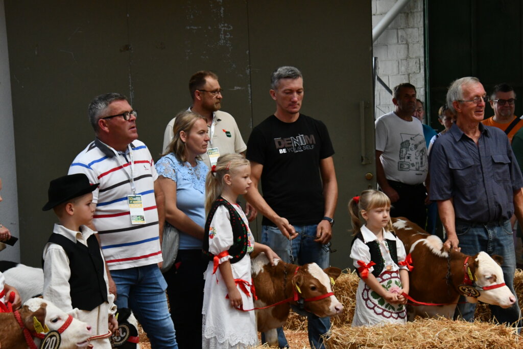 Bambino Kup 8972 (97)