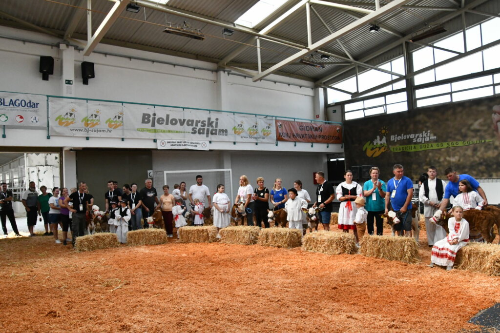 Bambino Kup 8972 (98)