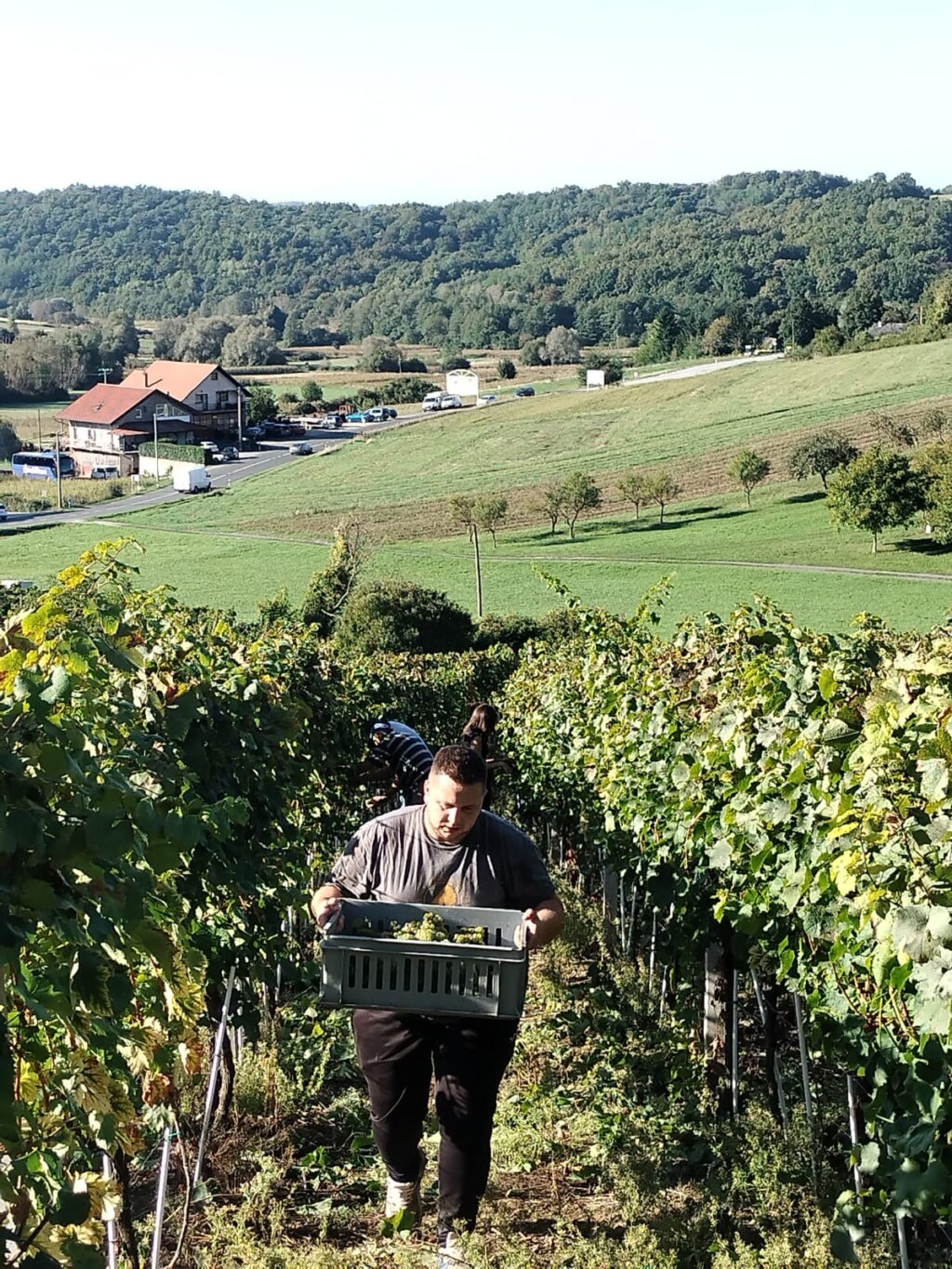 Bb60bb6b F3c0 412b Ab6f 777b72ab5408