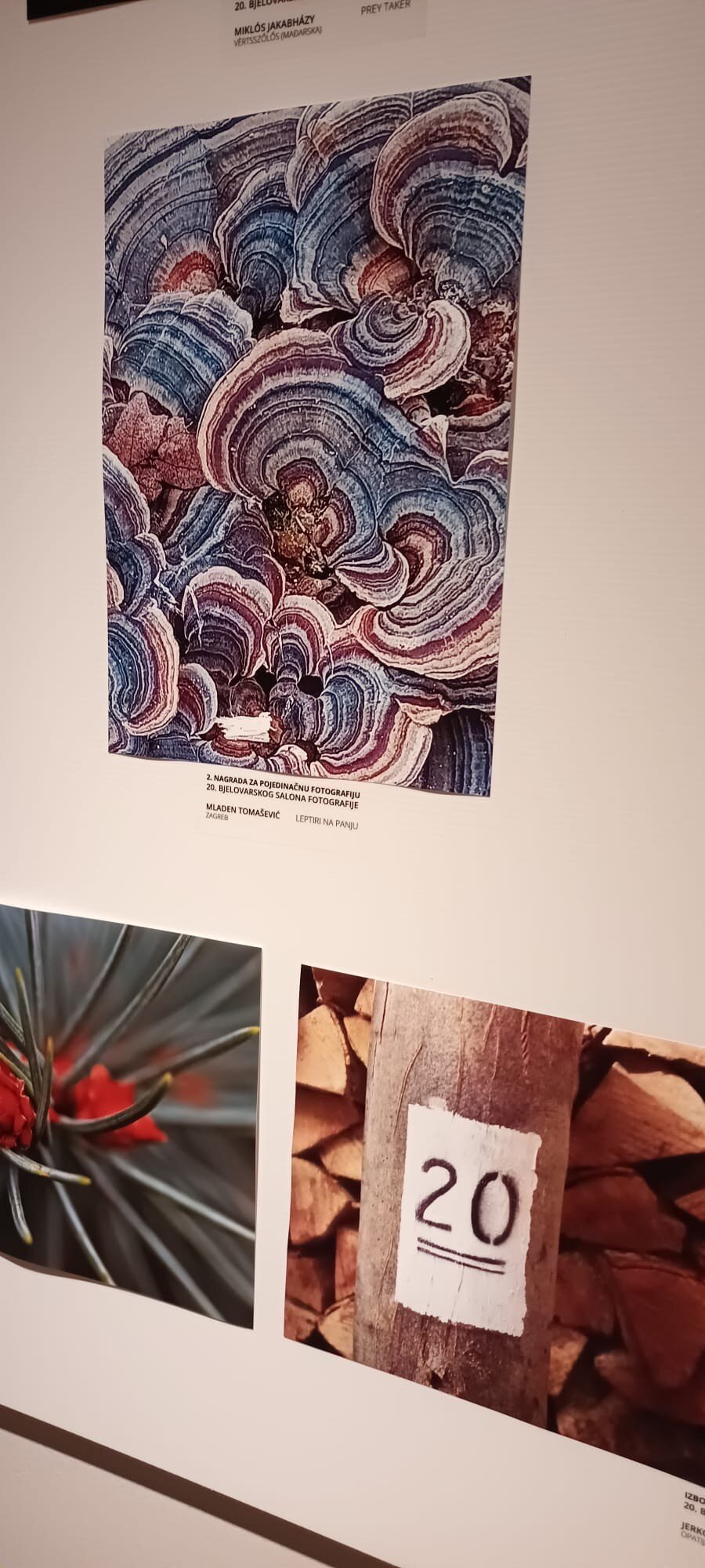 C02614e3 C01e 4769 8983 B28f0f47f343