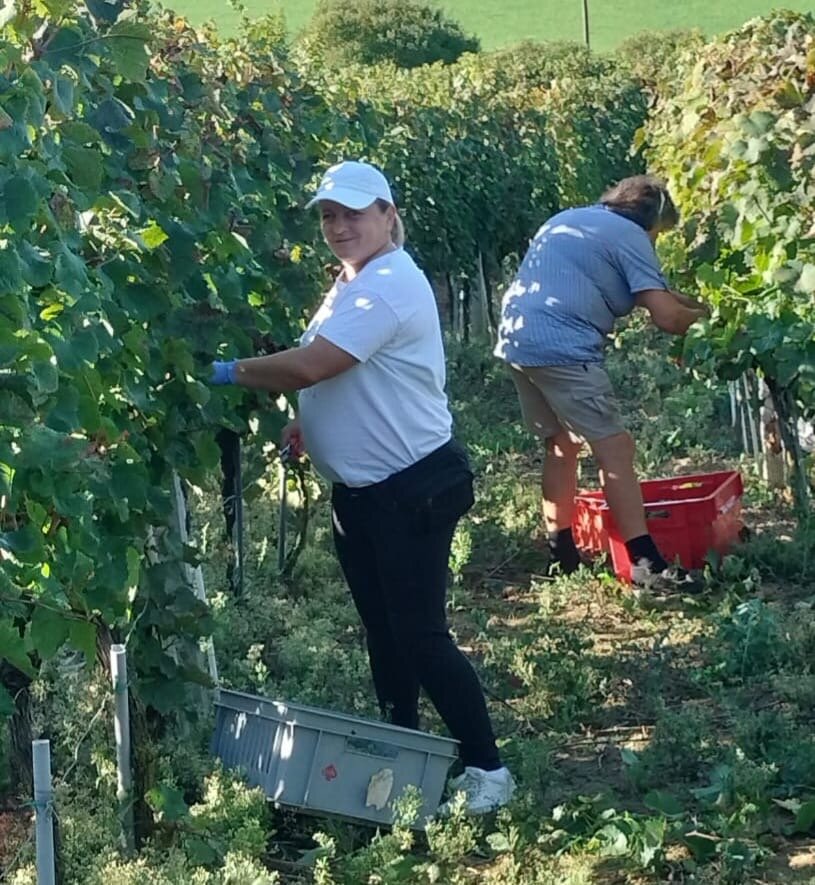 C0445046 97f1 464a B7b6 09a994a407f3