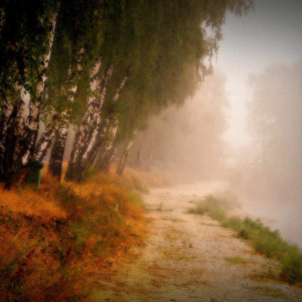 C76b46fd 51b6 46f8 9573 883f2b8518ce