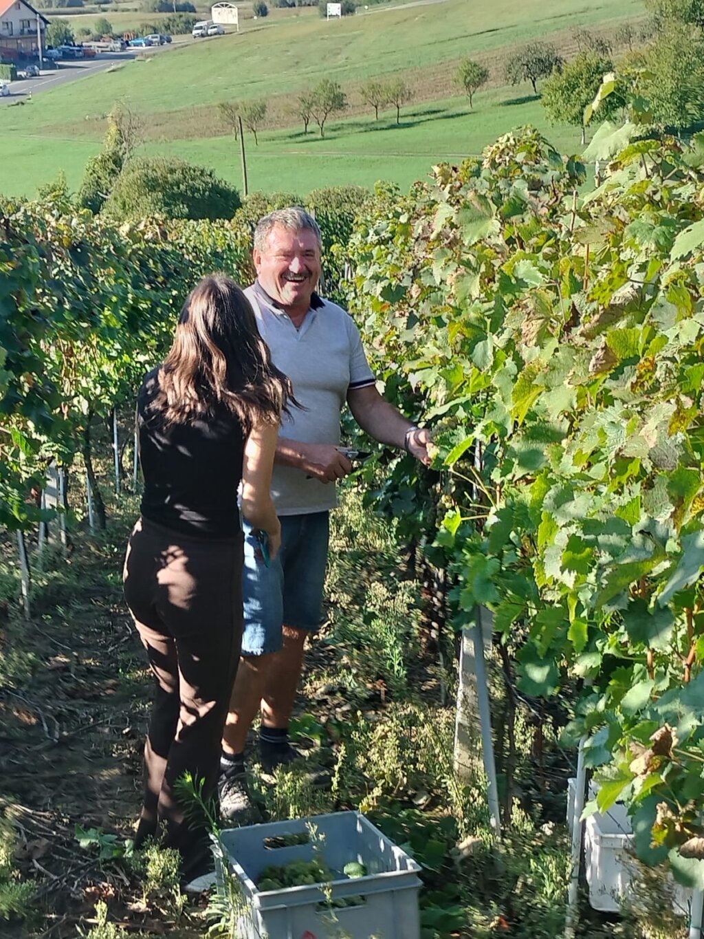 D56a46d8 9e24 411a Bcf0 7d9351e7a852