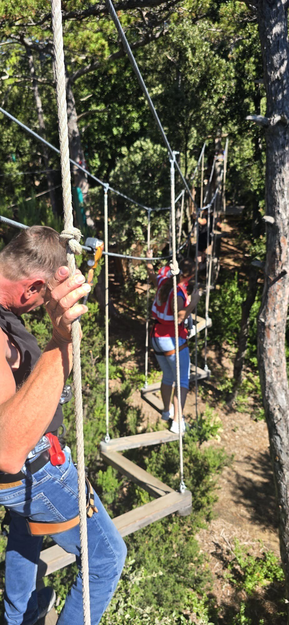 E058fca4 738d 4267 Bb66 E85926c78d2c