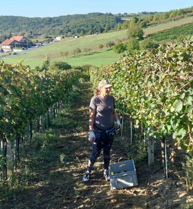 E470e814 775e 44d6 Bd97 6b8c8fda95a6