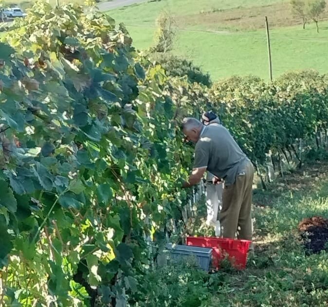 E965ebee 2bcf 4219 B900 A454805e33bf