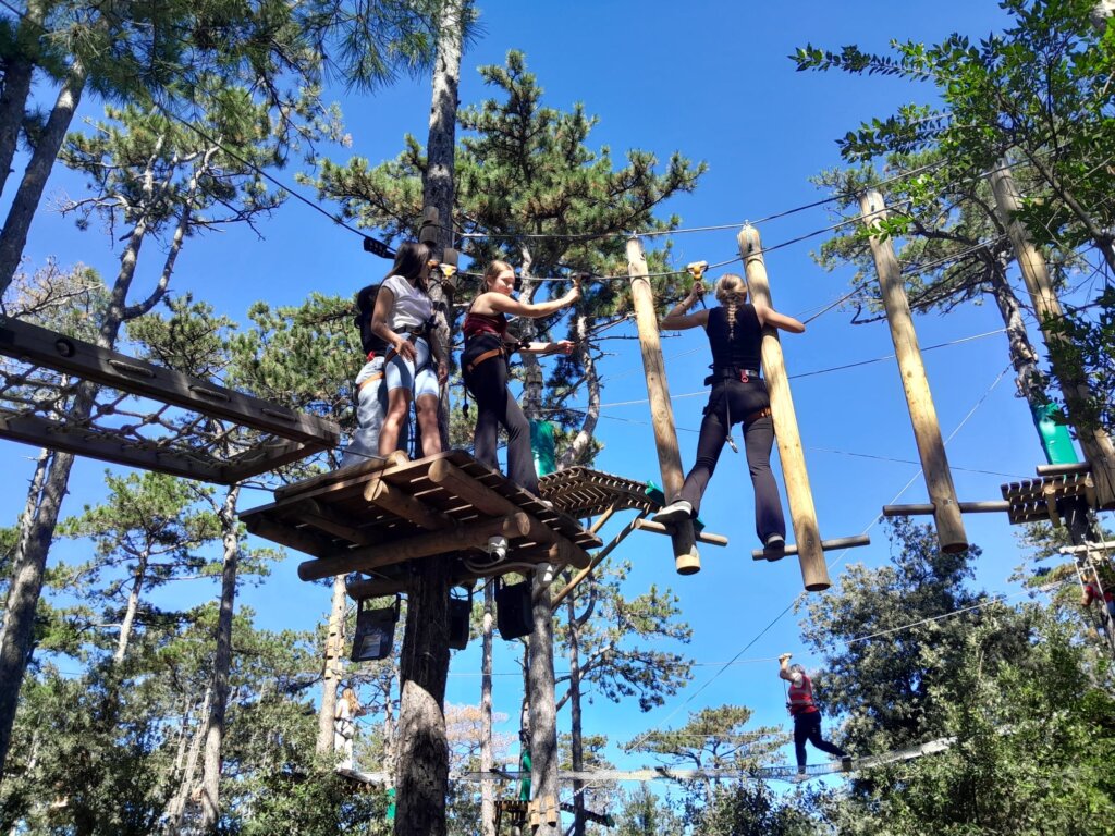 Edab6ad9 3c1d 4054 Bb6e E61f4ae8e56f