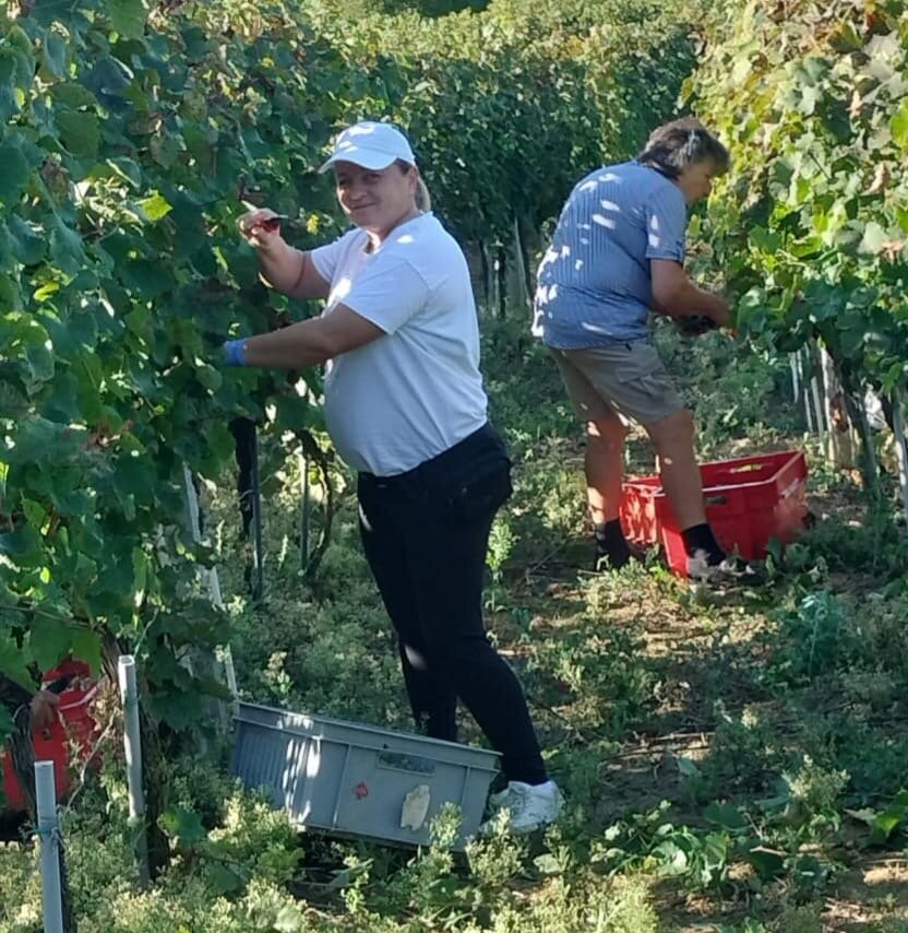 F5e80fa4 5a0d 46cf 9339 1894b3821c05