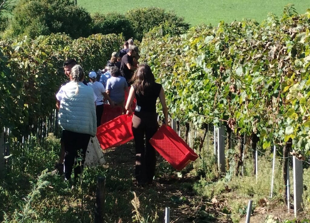 F9cfcbb4 1508 495a 8b9b F696da6f44ec