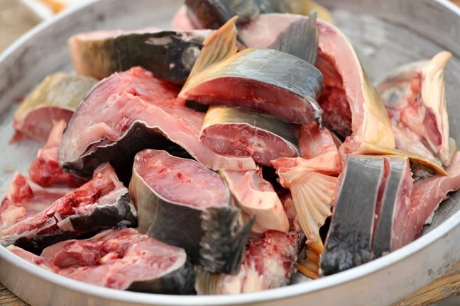 Fisijada2025 Autor Fotografije Drazen Kopac 4.jpg 648x432 Q85 Subsampling 2