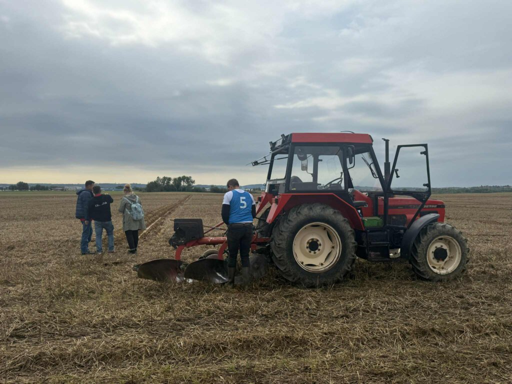 Oranje Državno (16)