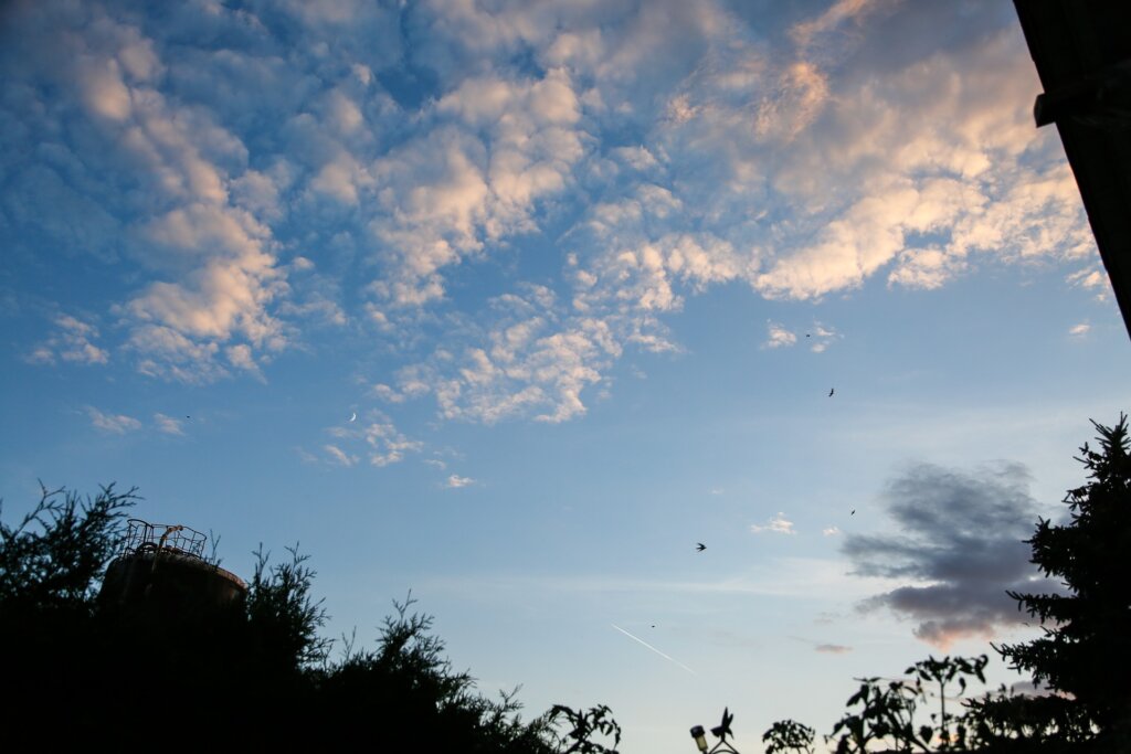 Međunarodni je dan ozonskog sloja, ovogodišnja tema je “Ozon za život”