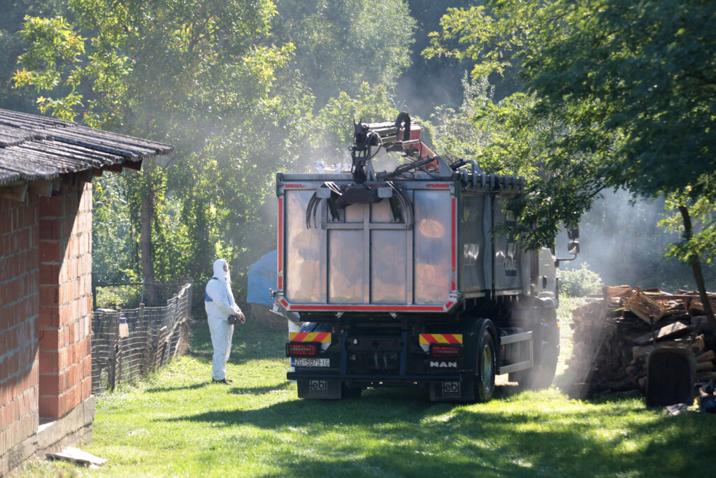 Odvoz Svinja Iz Vardarca Gdje Je Zabilježena Svinjska Kuga