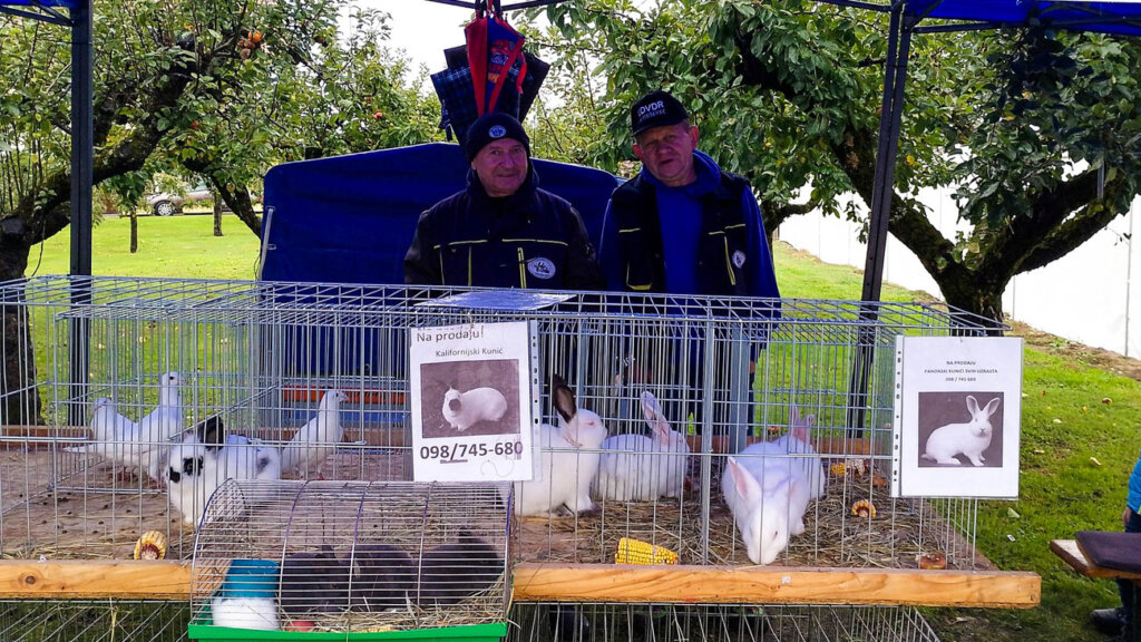 051025 Ciselska Nedela Marusevec 011