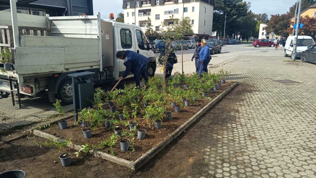 Koprivnica: Zeleni pojas u Opatičkoj ulici dobio novi izgled