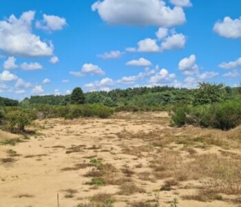 20220923 121947 1024x576 1 350x300