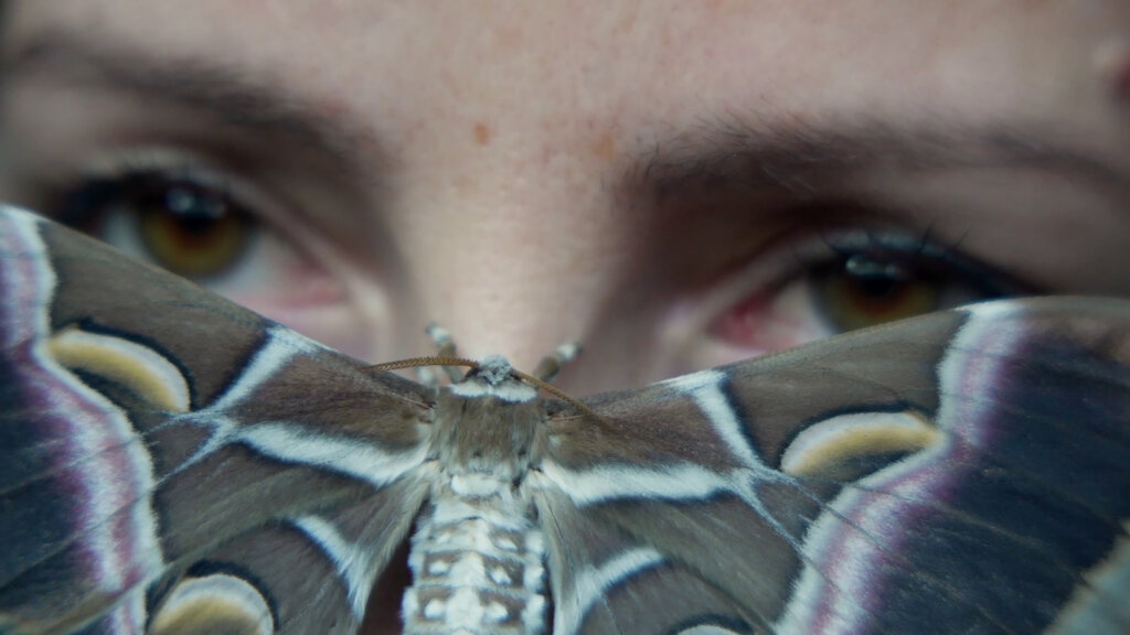 2 Ivana Papić Noćas Mi Se Nešto Svili Foto Ivana Papić