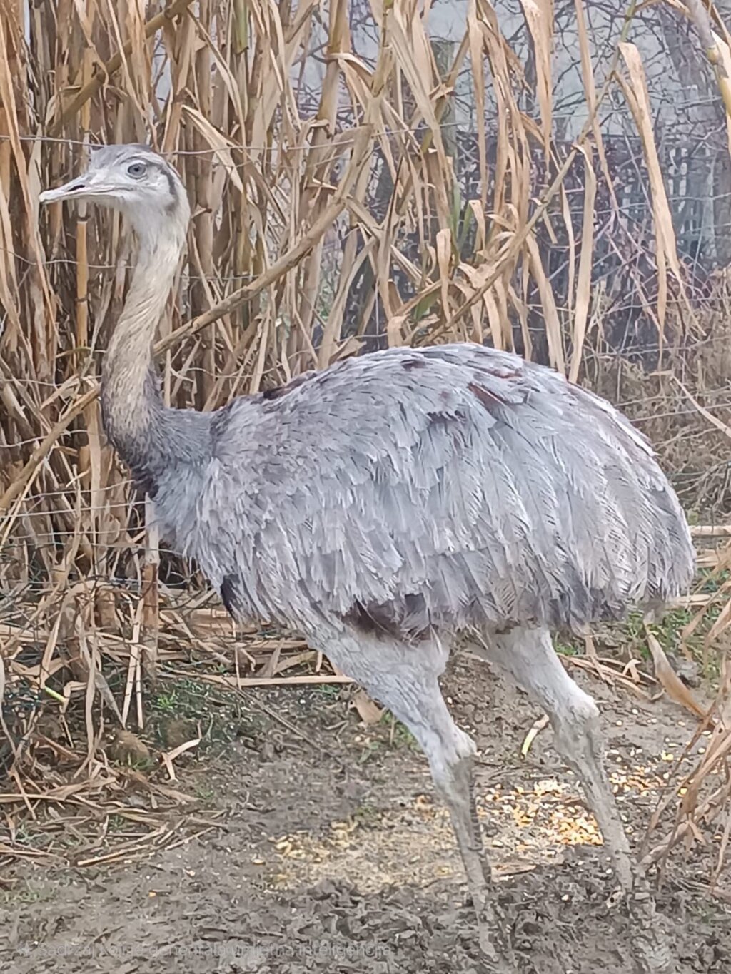 35b85d1f 3294 4698 8fab 968f7f2354b4