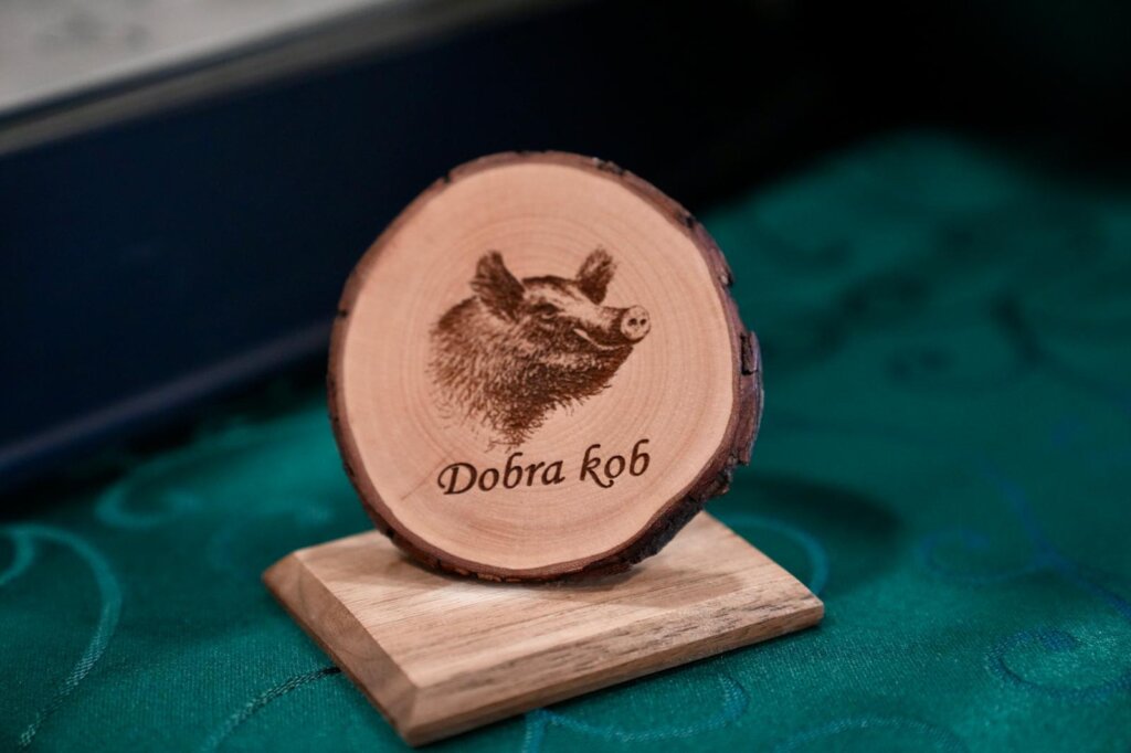 557604216 1213865420774454 5811917532885647952 N